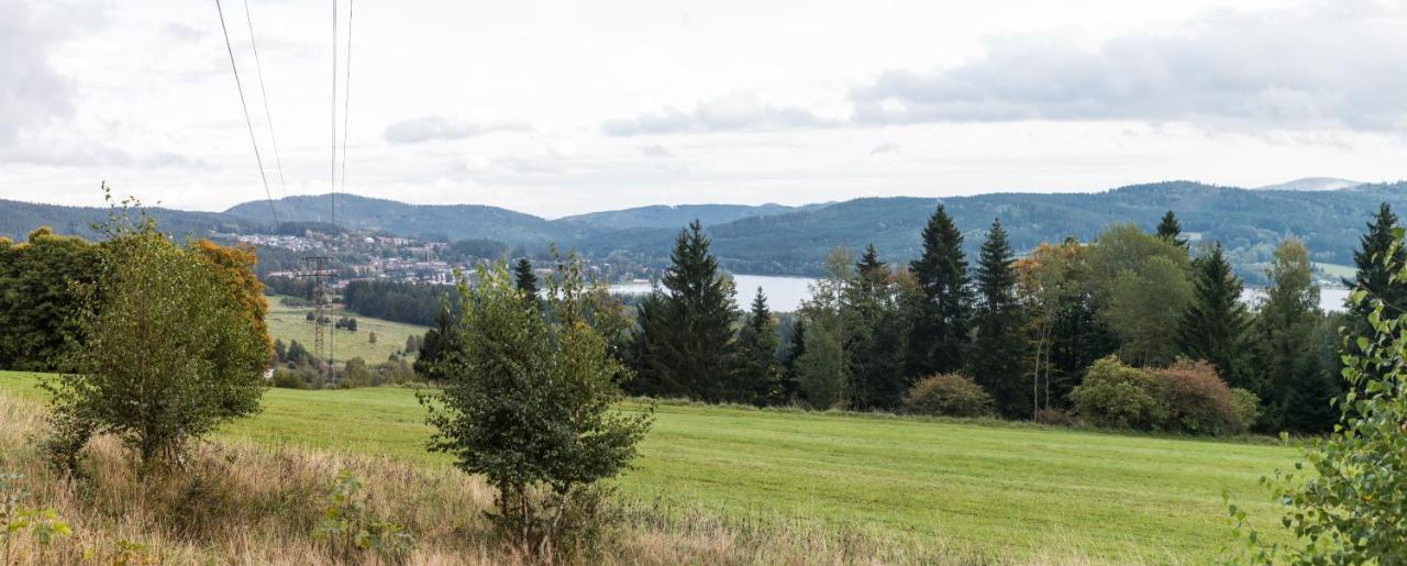 Chata Kadlecka Lipno nad Vltavou Buitenkant foto